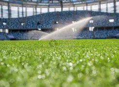 意大利之夏,替补前锋如,何成为世界,江南体育JiangNan官网,JiangNan江南娱乐,江南体育投注,江南体育平台,江南赛事直播,江南体育app下载