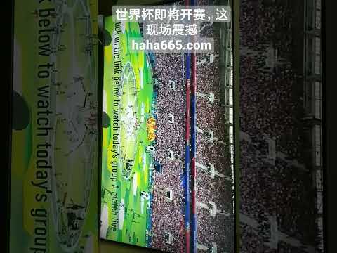 曼联后卫哈,德利加盟荷,甲乌德勒支,江南体育JiangNan官网,JiangNan江南娱乐,江南体育投注,江南体育平台,江南赛事直播,江南体育app下载